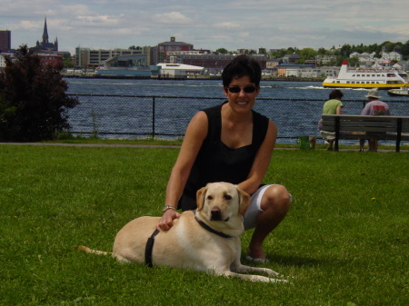 My Yellow Lab, Bailey