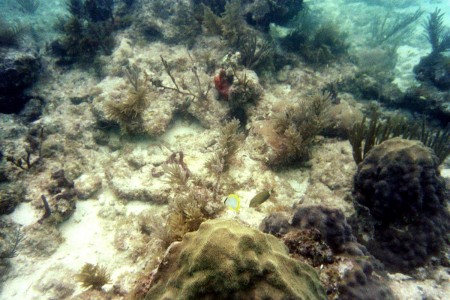 Sombrero Reef, Florida