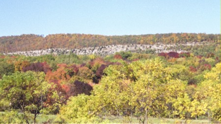 Fall '08 outside bedrm window