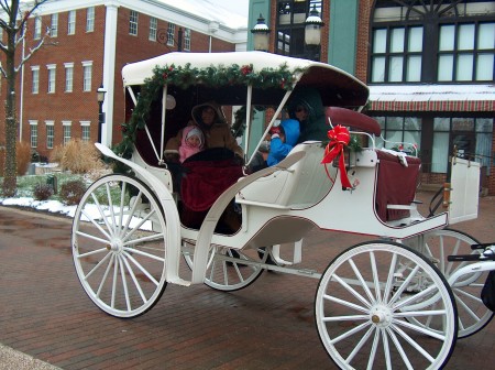 Taking a carriage ride with the grandchildren.