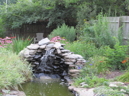 Garden pond 2009