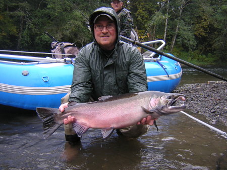 Coho Salmon on the Sol Duc River October 2008