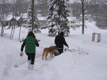 12.under the snow 02-26-2010