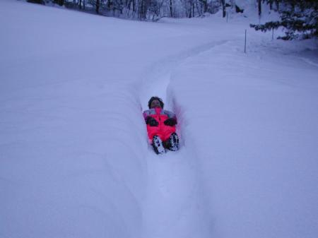 my backyard bob-sled run