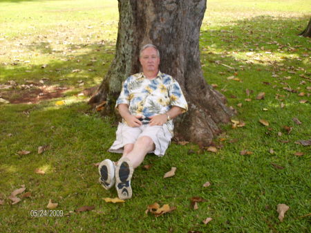 By a Tree in Lahaina, Maui