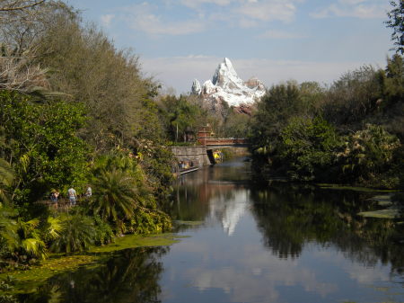 Animal Kingdom