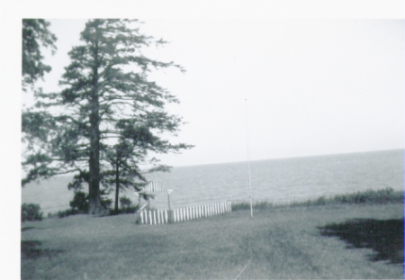 Majestic hemlock overlooking lake erie on a 45