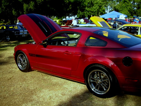 My 2007 Mustang GT/CS