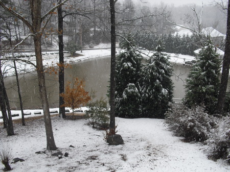 Early 2010 - backyard after snowfall