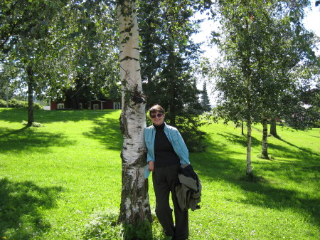Helsinki in the park