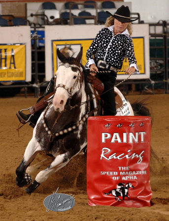 american paint horse world show 2008