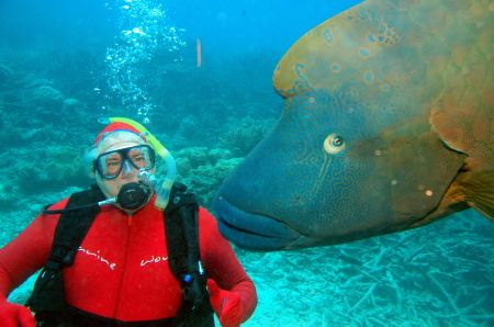 Diving the Great Barrier Reef Aus.