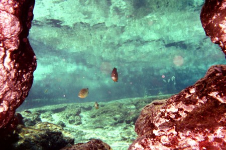 Looking out of the Cavern