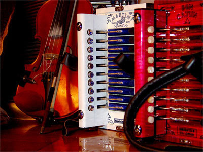 cajun/zydeco accordions