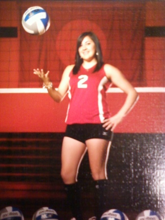 Sul Ross State, Volleyball