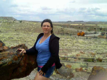 Petrified Forest