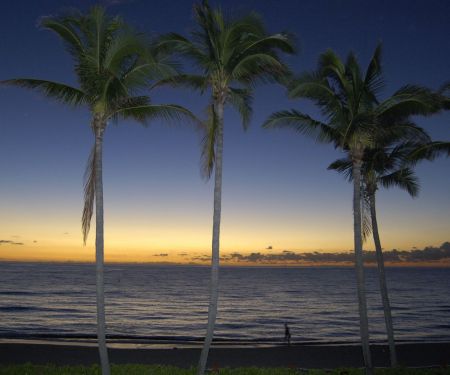 Lauderdale Sunrise