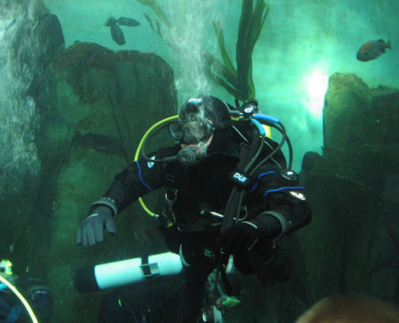 Diving the Newport Aquarium