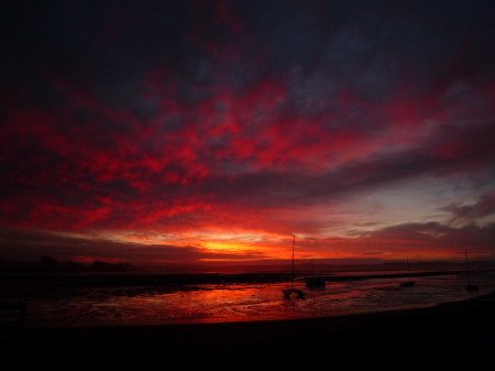 Los Osos,Ca.