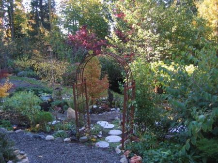 garden view from front deck