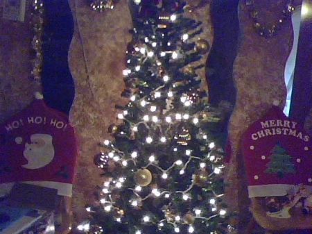 2009 Christmas tree