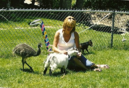 Baby Emu,goat,my min pin sadie