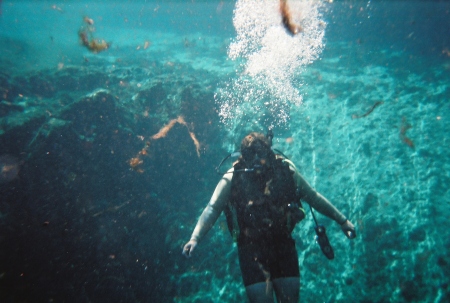 Scuba in the springs at Crystal river, FLA