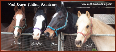 Red Barn Riding Academy