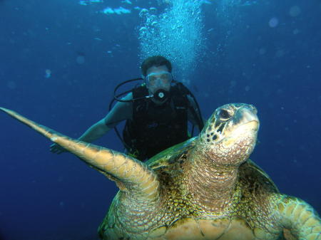 scuba diving in maui