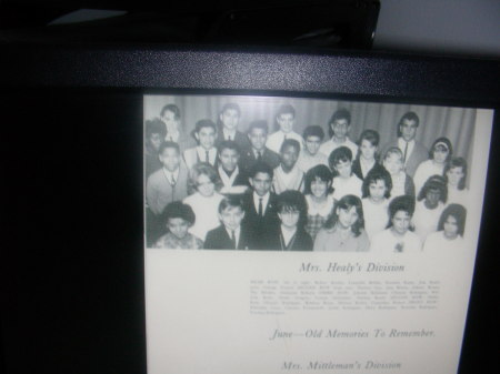 Mrs. Healy's Class in the 1966 Year Book