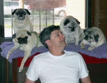 So many pugs!