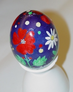 Student Egg 2007