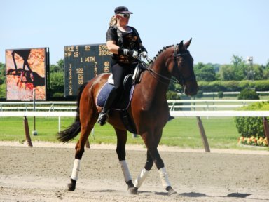 Belmont World of Horses 08