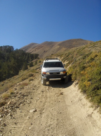 looking up at 11000' on a road made in 1870.