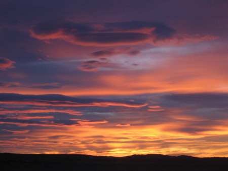 Ocotillo Wells