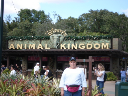Disney's Animal Kingdon