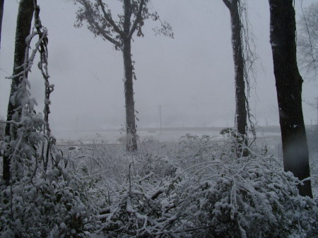 Snow in Alabama-March 1,2009