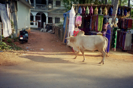 shopping in India