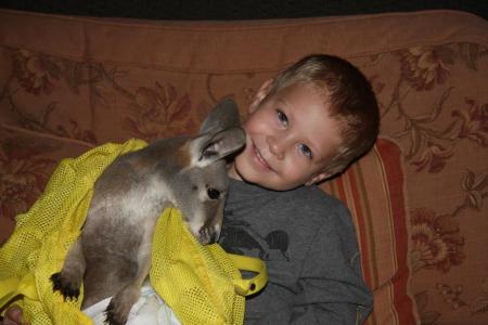 Layne at the fair with a baby kangaroo