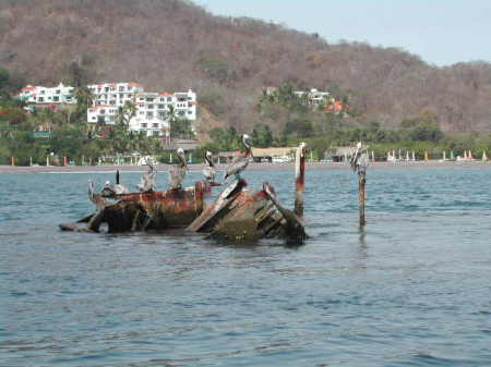 Snorkeling mexican waters.