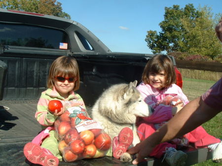 apple orchard 2005 021