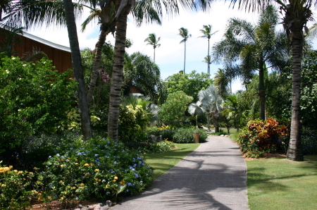 Four Seasons in Nevis