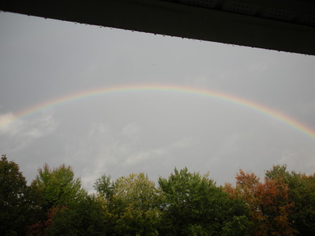 Haileys Rainbow