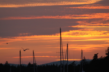 On incredible sunset at Roche Harbor