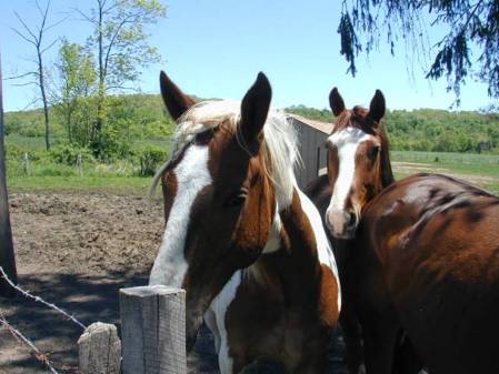 TOBY AND CHEROKEE