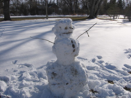 Our 2 ft of snow 4-5-09 as it melted....