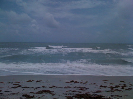 Sanibel 2009