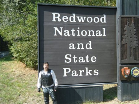 Redwoods Entrance