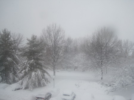 Snow - Feb 5th