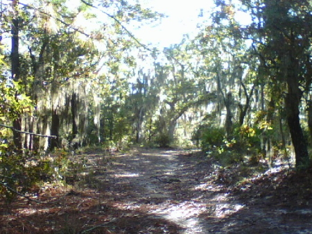 MOSSY OAKS-ONE OF MY FAVORITE PLACES